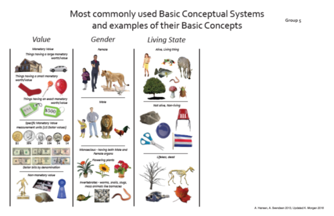 bcs4